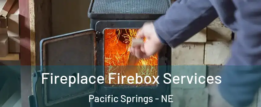Fireplace Firebox Services Pacific Springs - NE