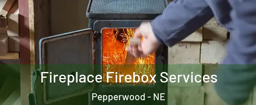 Fireplace Firebox Services Pepperwood - NE
