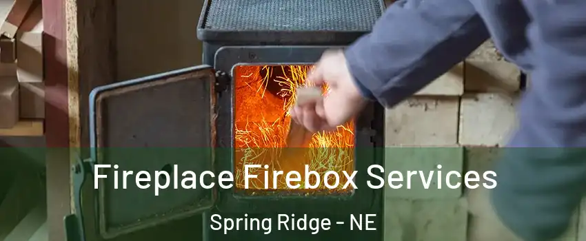 Fireplace Firebox Services Spring Ridge - NE