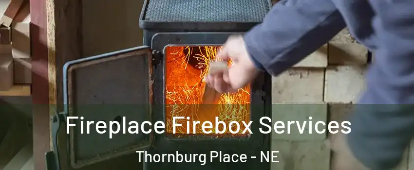 Fireplace Firebox Services Thornburg Place - NE