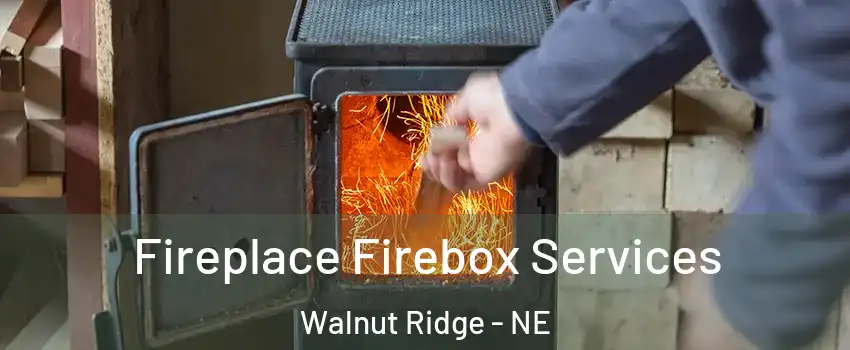 Fireplace Firebox Services Walnut Ridge - NE