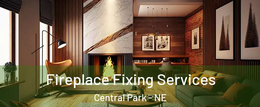 Fireplace Fixing Services Central Park - NE