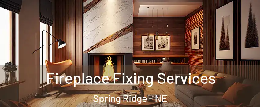 Fireplace Fixing Services Spring Ridge - NE