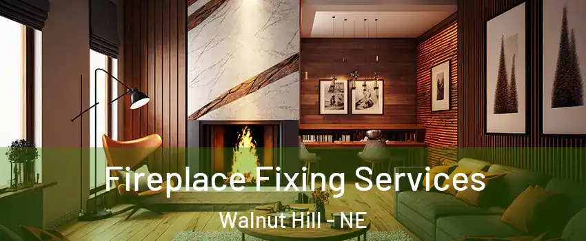 Fireplace Fixing Services Walnut Hill - NE