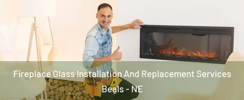 Fireplace Glass Installation And Replacement Services Beals - NE