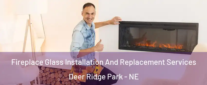 Fireplace Glass Installation And Replacement Services Deer Ridge Park - NE