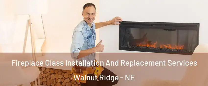 Fireplace Glass Installation And Replacement Services Walnut Ridge - NE