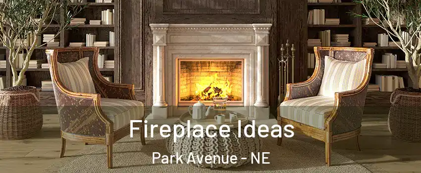 Fireplace Ideas Park Avenue - NE