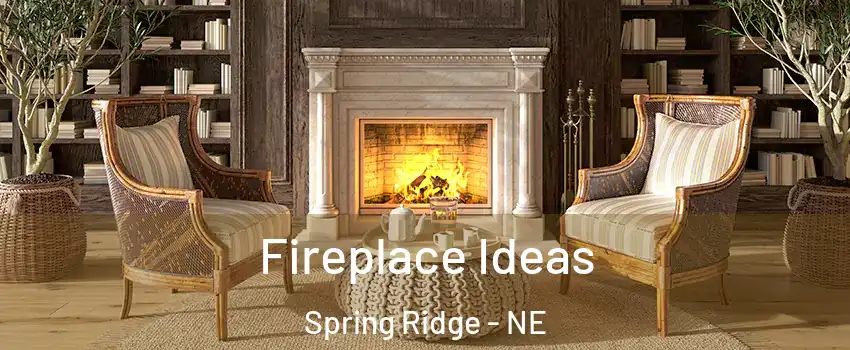 Fireplace Ideas Spring Ridge - NE