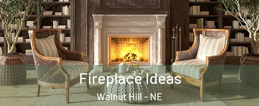 Fireplace Ideas Walnut Hill - NE