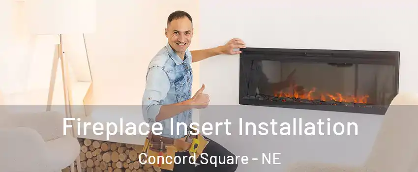 Fireplace Insert Installation Concord Square - NE
