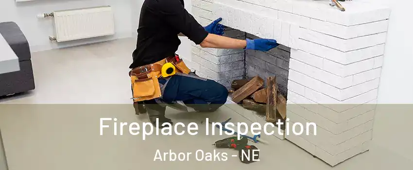 Fireplace Inspection Arbor Oaks - NE