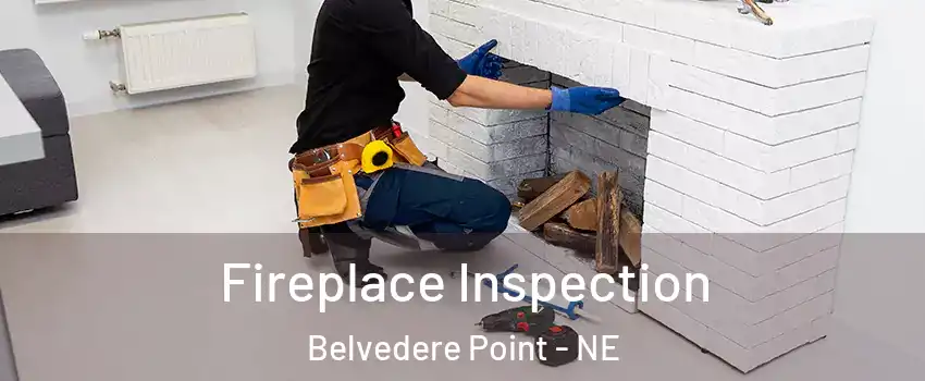 Fireplace Inspection Belvedere Point - NE