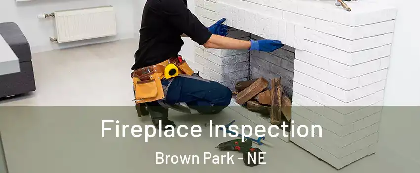 Fireplace Inspection Brown Park - NE