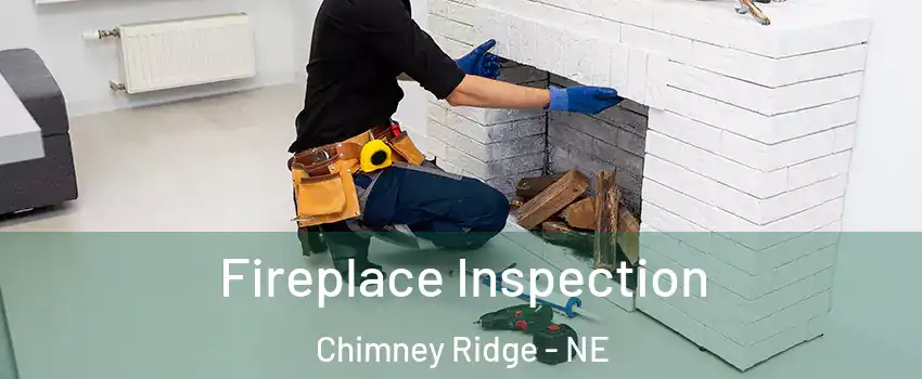 Fireplace Inspection Chimney Ridge - NE