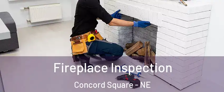 Fireplace Inspection Concord Square - NE