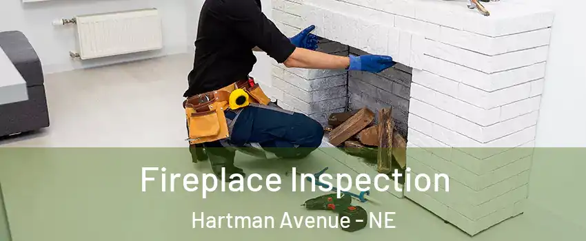Fireplace Inspection Hartman Avenue - NE