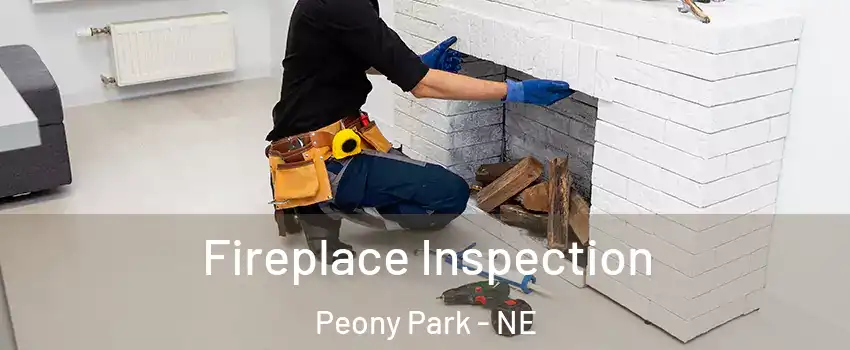 Fireplace Inspection Peony Park - NE