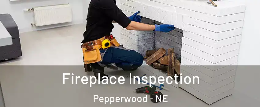 Fireplace Inspection Pepperwood - NE