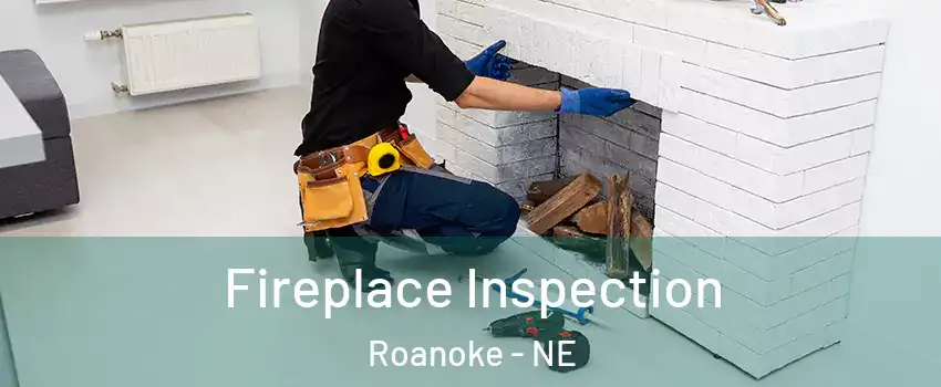 Fireplace Inspection Roanoke - NE