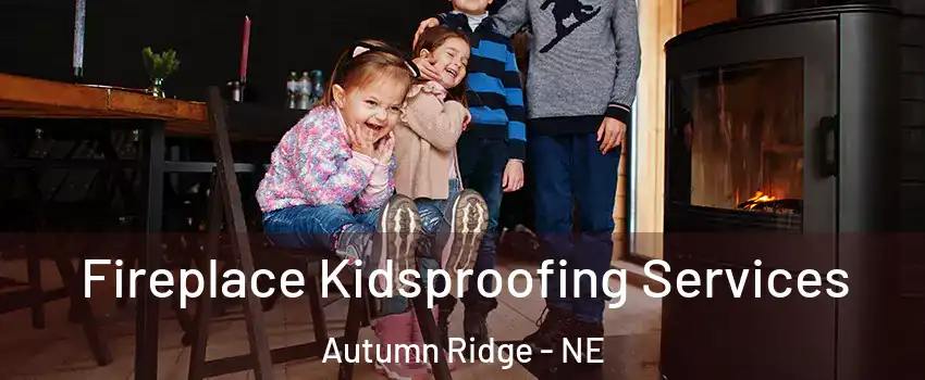 Fireplace Kidsproofing Services Autumn Ridge - NE