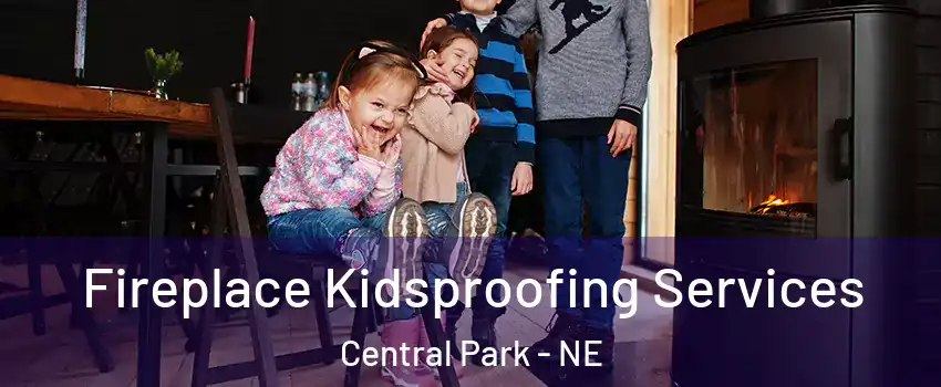 Fireplace Kidsproofing Services Central Park - NE