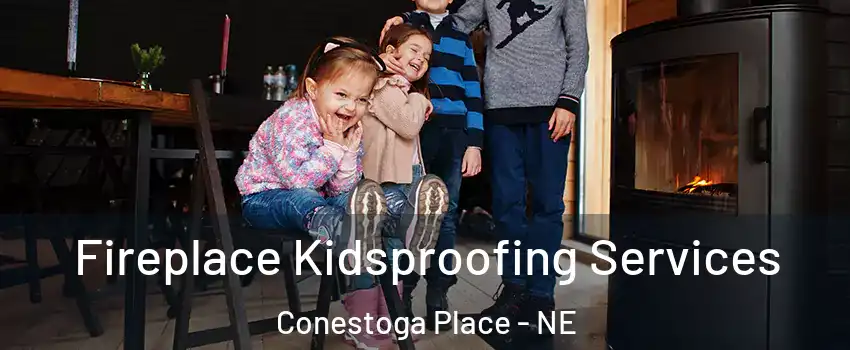 Fireplace Kidsproofing Services Conestoga Place - NE