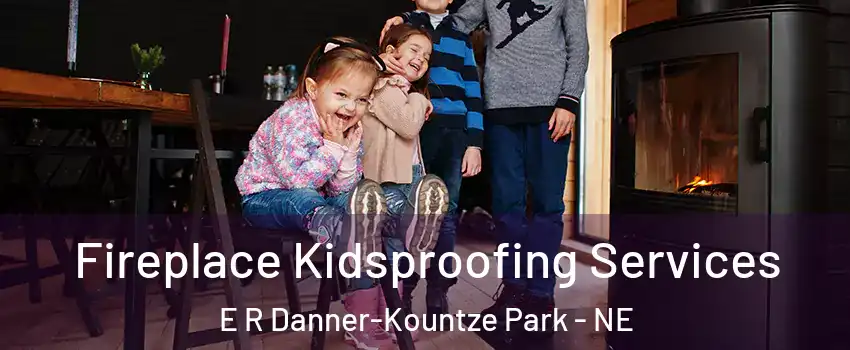 Fireplace Kidsproofing Services E R Danner-Kountze Park - NE
