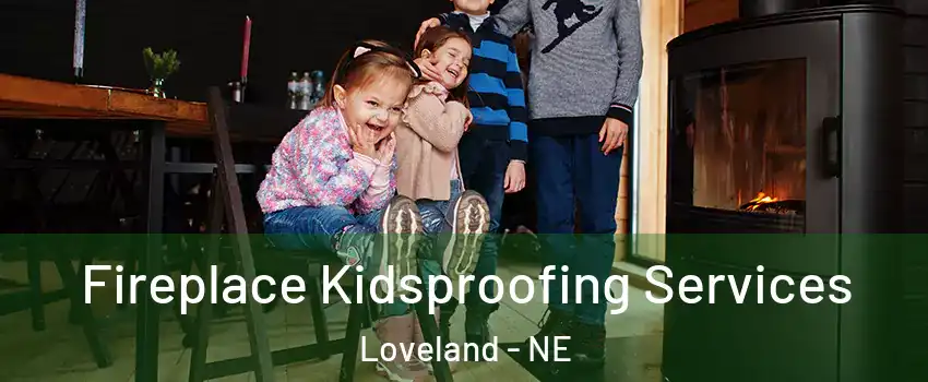 Fireplace Kidsproofing Services Loveland - NE