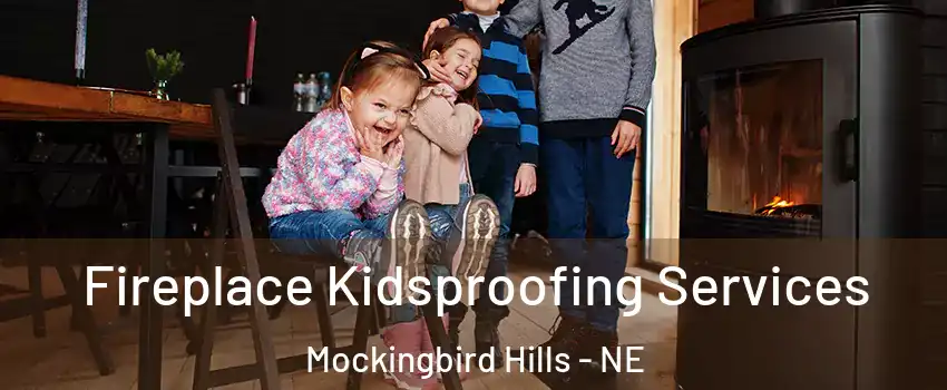 Fireplace Kidsproofing Services Mockingbird Hills - NE