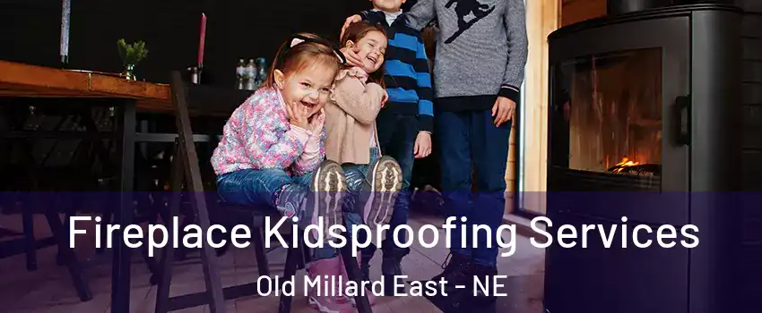 Fireplace Kidsproofing Services Old Millard East - NE