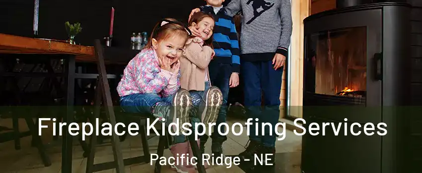 Fireplace Kidsproofing Services Pacific Ridge - NE