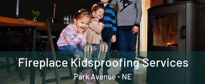 Fireplace Kidsproofing Services Park Avenue - NE