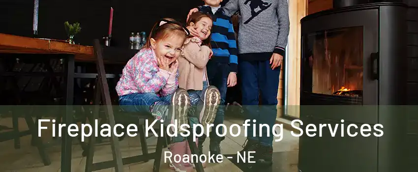 Fireplace Kidsproofing Services Roanoke - NE
