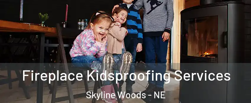 Fireplace Kidsproofing Services Skyline Woods - NE