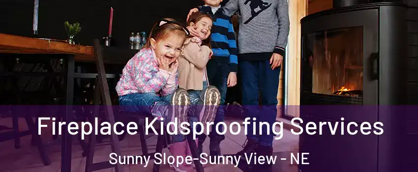 Fireplace Kidsproofing Services Sunny Slope-Sunny View - NE