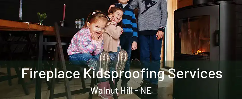 Fireplace Kidsproofing Services Walnut Hill - NE