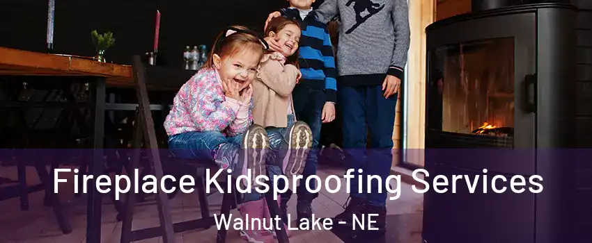 Fireplace Kidsproofing Services Walnut Lake - NE