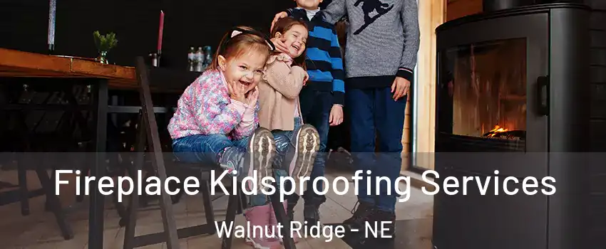 Fireplace Kidsproofing Services Walnut Ridge - NE