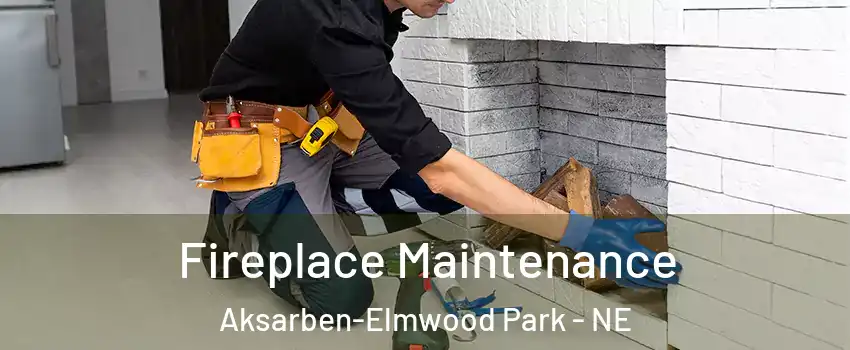 Fireplace Maintenance Aksarben-Elmwood Park - NE