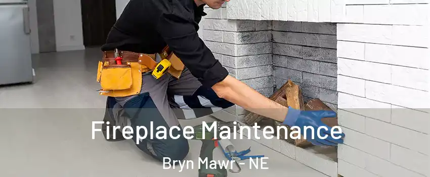 Fireplace Maintenance Bryn Mawr - NE