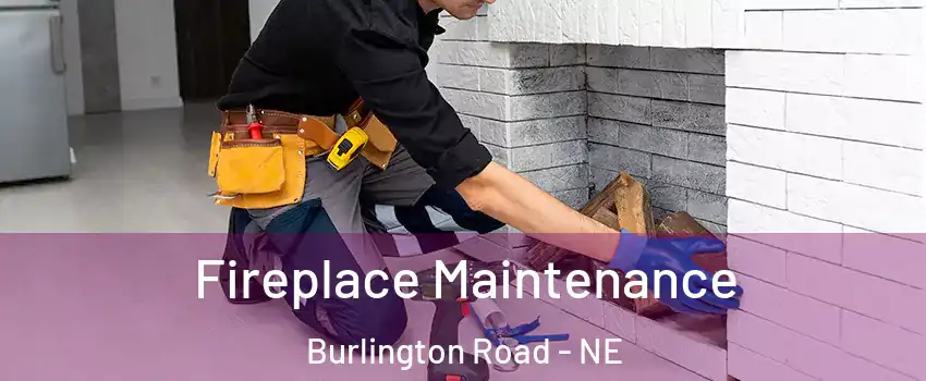 Fireplace Maintenance Burlington Road - NE