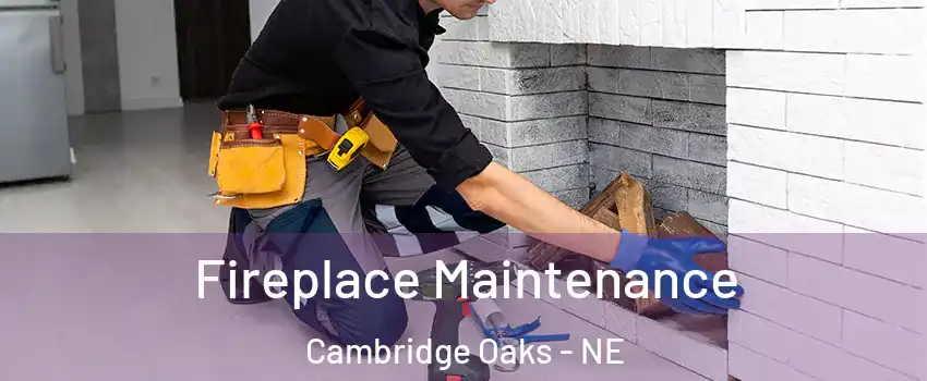 Fireplace Maintenance Cambridge Oaks - NE