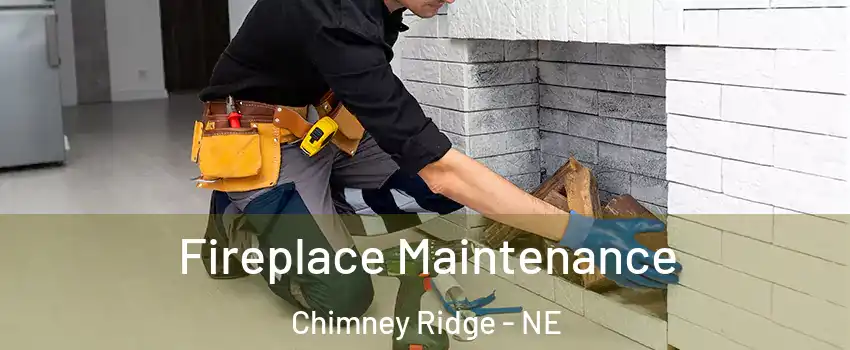 Fireplace Maintenance Chimney Ridge - NE