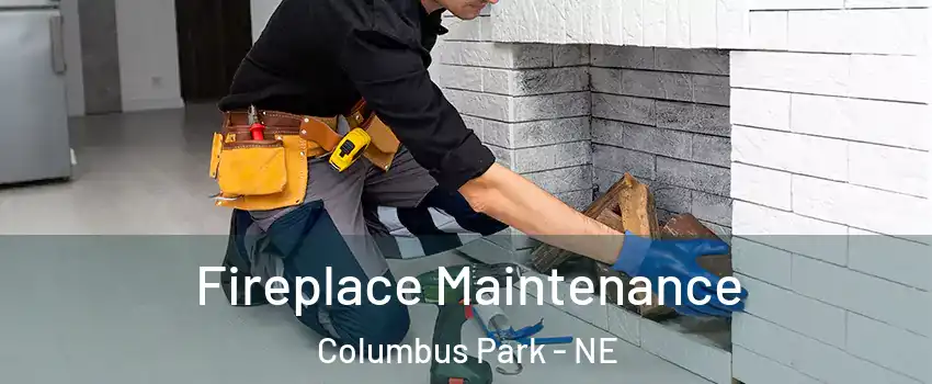 Fireplace Maintenance Columbus Park - NE