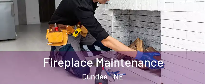Fireplace Maintenance Dundee - NE