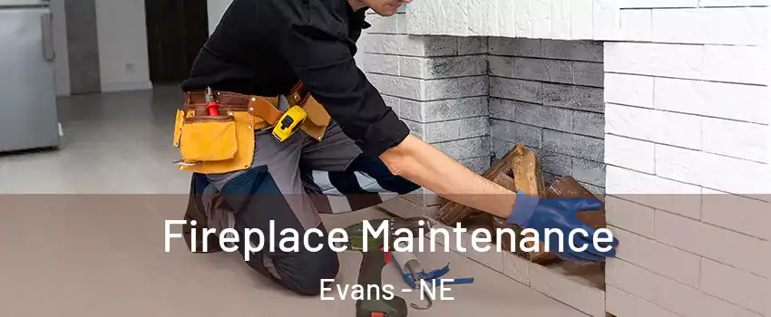 Fireplace Maintenance Evans - NE