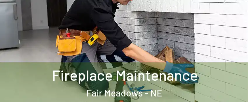 Fireplace Maintenance Fair Meadows - NE