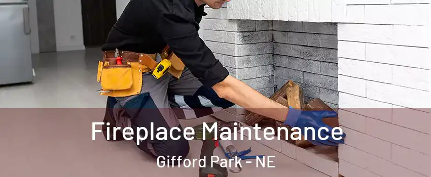 Fireplace Maintenance Gifford Park - NE