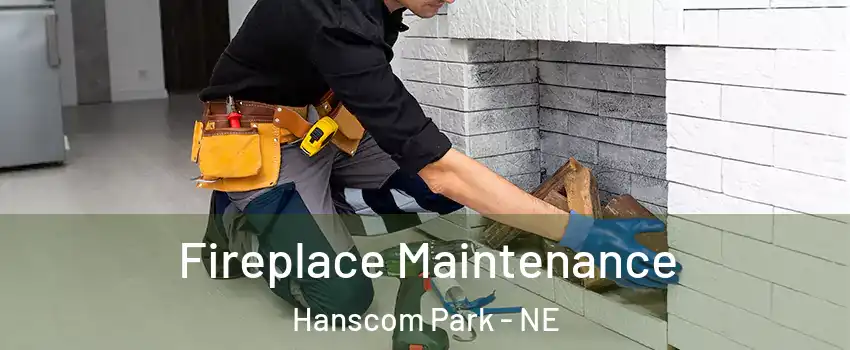 Fireplace Maintenance Hanscom Park - NE